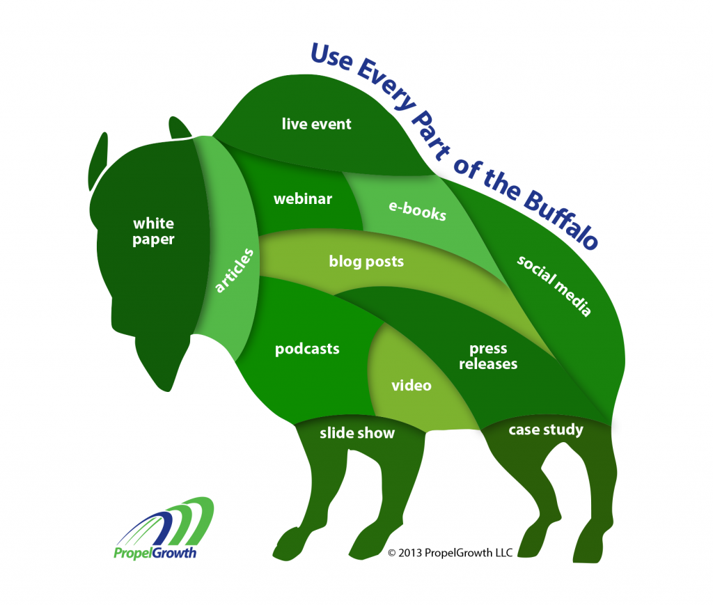 Buffalo Content Program illustration