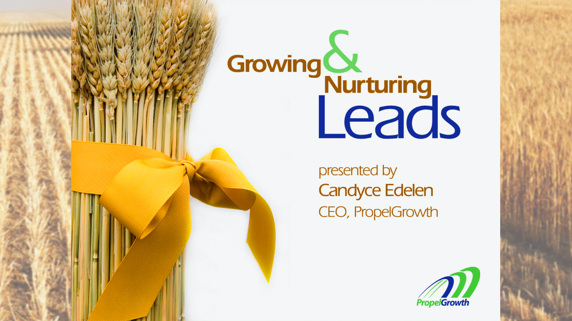 Lead nurturing presentation designed by Phil Donaldson