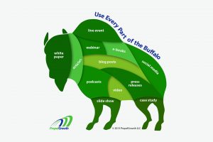 PropelGrowth content marketing buffalo by Phil Donaldson